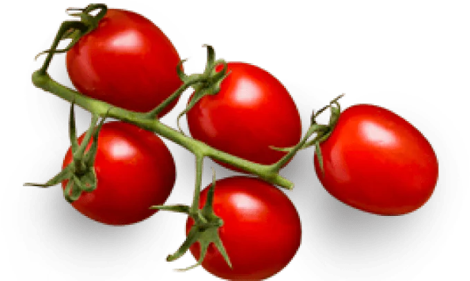 Tomato Bunch
